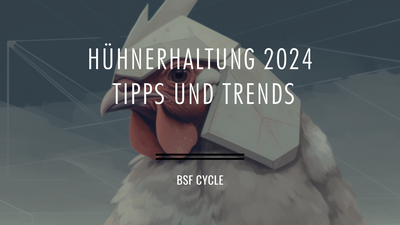 Hühnerhaltung 2024: Die neuesten Tipps und Trends