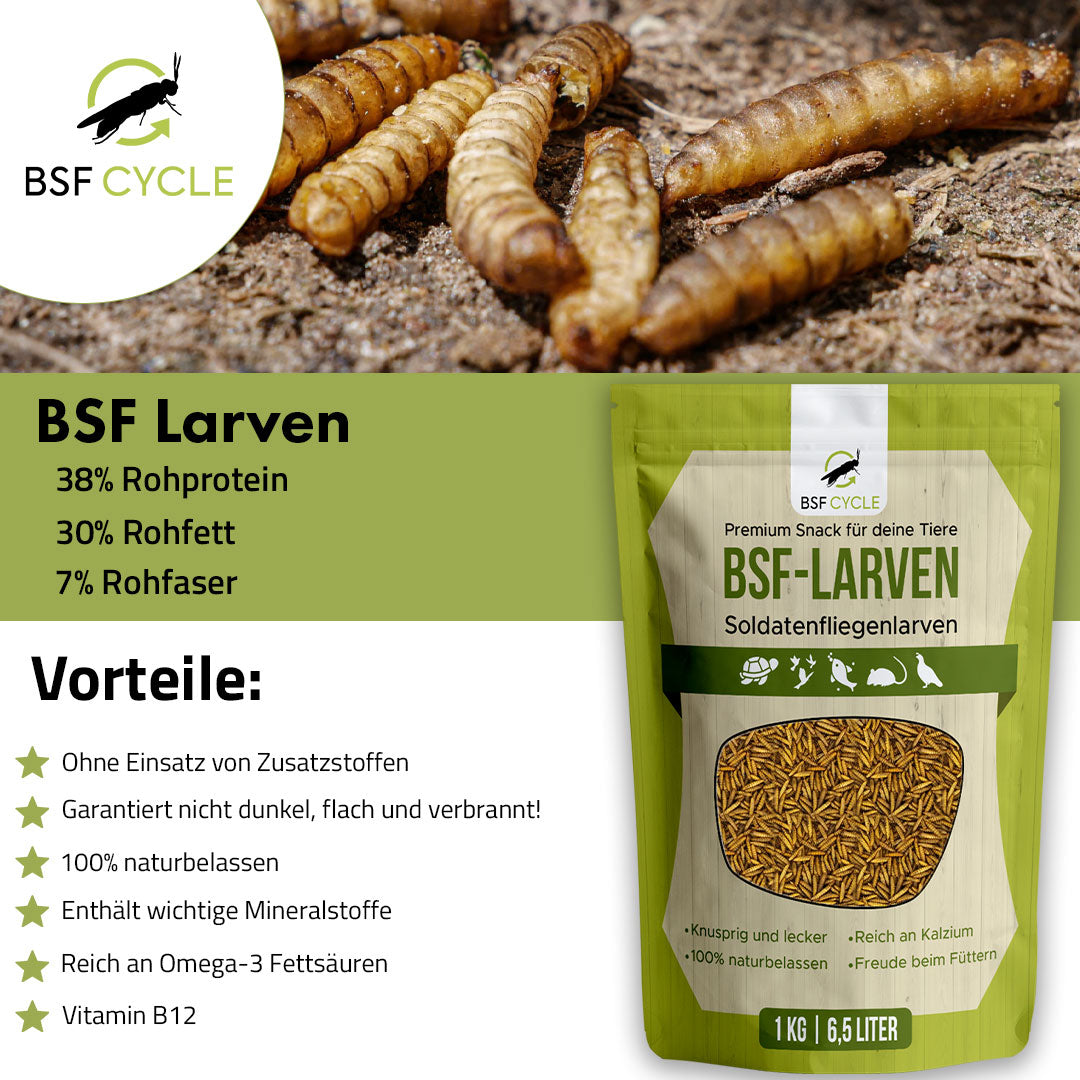 BSF Larven - getrocknete Soldatenfliegenlarven