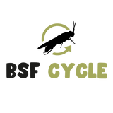 BSF Cycle GmbH