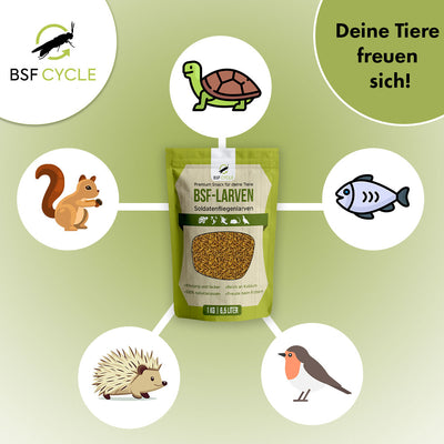Soldatenfliegenlarven für deine Tiere
